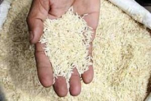 خرید برنج