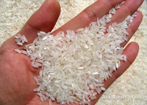 خرید برنج ارزان