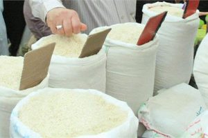 فروشگاه اینترنتی خرید برنج