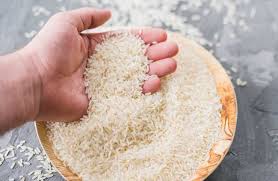 معرفی برنج پرمحصول نعمت