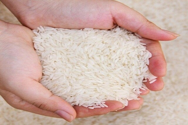 خرید برنج از خوشه طلا