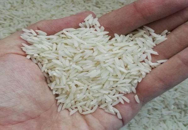 چگونه برنج خوب بخریم | خوشه طلا